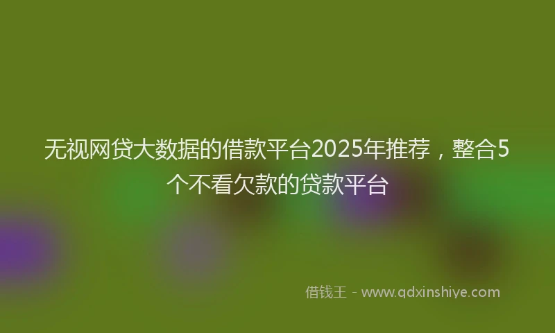 无视网贷大数据的借款平台2025年推荐，整合5个不看欠款的贷款平台