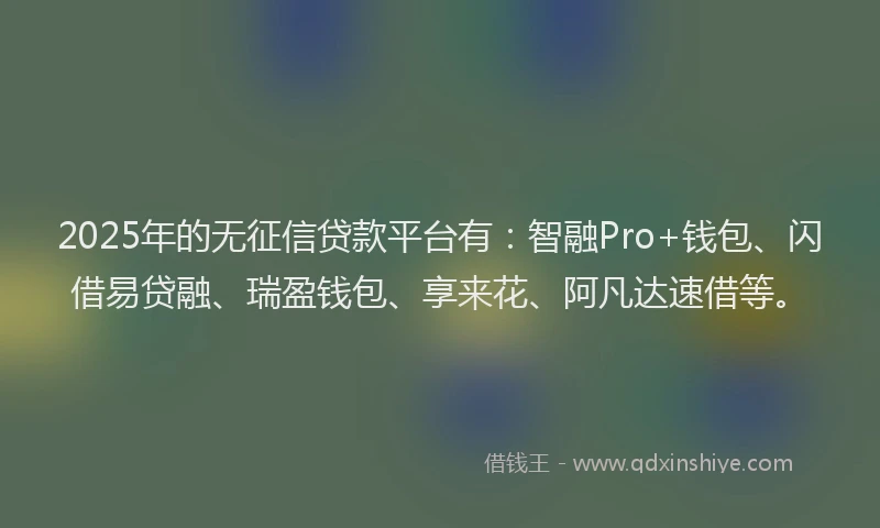 2025年的无征信贷款平台有：智融Pro+钱包、闪借易贷融、瑞盈钱包、享来花、阿凡达速借等。