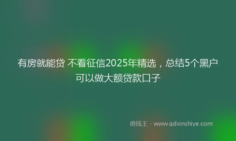 有房就能贷 不看征信2025年精选，总结5个黑户可以做大额贷款口子