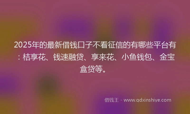 2025年的最新借钱口子不看征信的有哪些平台有：桔享花、钱速融贷、享来花、小鱼钱包、金宝盒贷等。