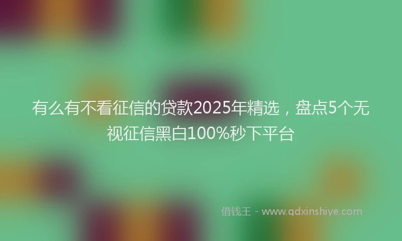 有么有不看征信的贷款2025年精选，盘点5个无视征信黑白100%秒下平台
