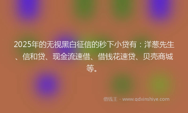 2025年的无视黑白征信的秒下小贷有：洋葱先生、信和贷、现金流速借、借钱花速贷、贝壳商城等。