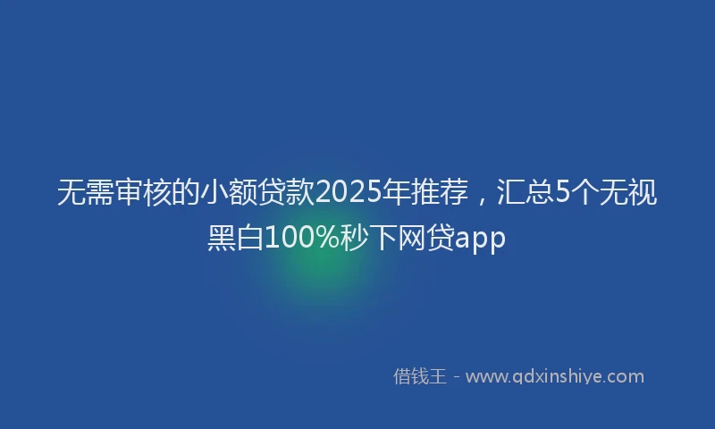 无需审核的小额贷款2025年推荐，汇总5个无视黑白100%秒下网贷app
