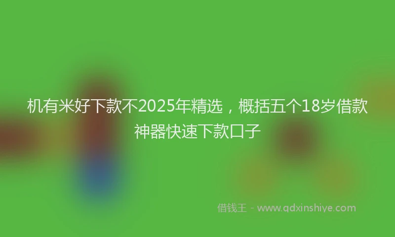 机有米好下款不2025年精选，概括五个18岁借款神器快速下款口子