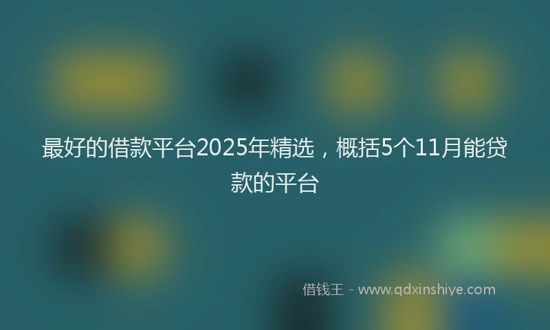 最好的借款平台2025年精选，概括5个11月能贷款的平台