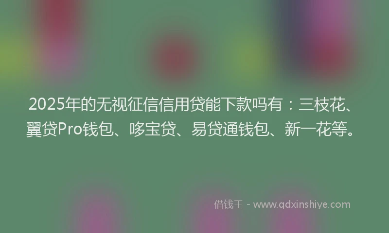 2025年的无视征信信用贷能下款吗有：三枝花、翼贷Pro钱包、哆宝贷、易贷通钱包、新一花等。