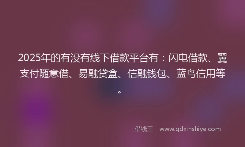 2025年的有没有线下借款平台有：闪电借款、翼支付随意借、易融贷盒、信融钱包、蓝鸟信用等。