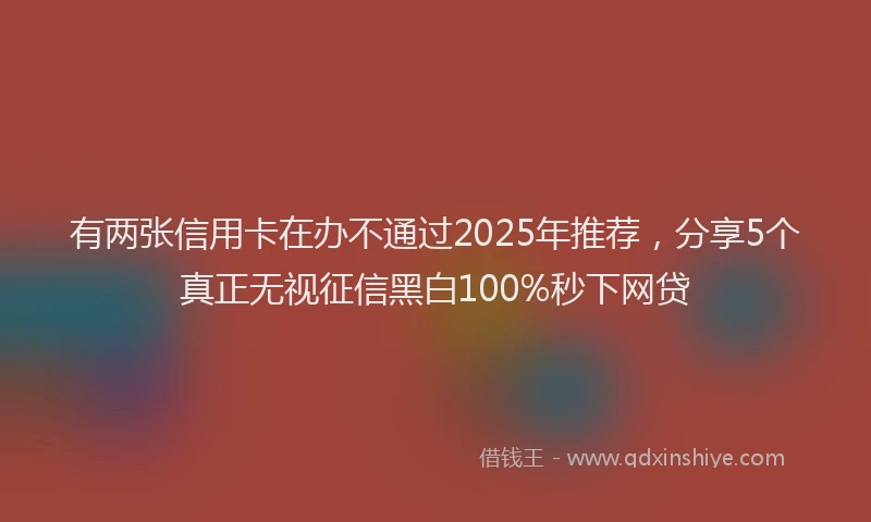 有两张信用卡在办不通过2025年推荐，分享5个真正无视征信黑白100%秒下网贷