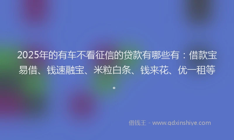 2025年的有车不看征信的贷款有哪些有：借款宝易借、钱速融宝、米粒白条、钱来花、优一租等。