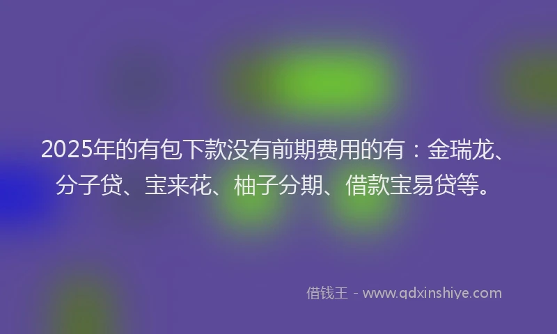 2025年的有包下款没有前期费用的有：金瑞龙、分子贷、宝来花、柚子分期、借款宝易贷等。