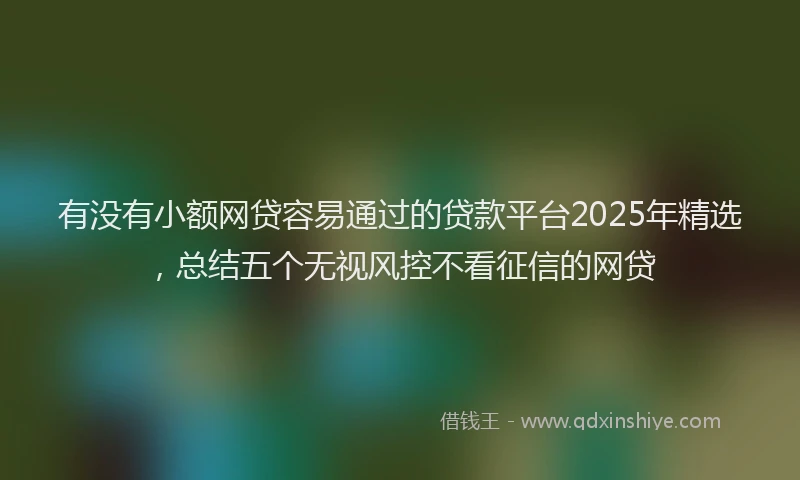 有没有小额网贷容易通过的贷款平台2025年精选，总结五个无视风控不看征信的网贷