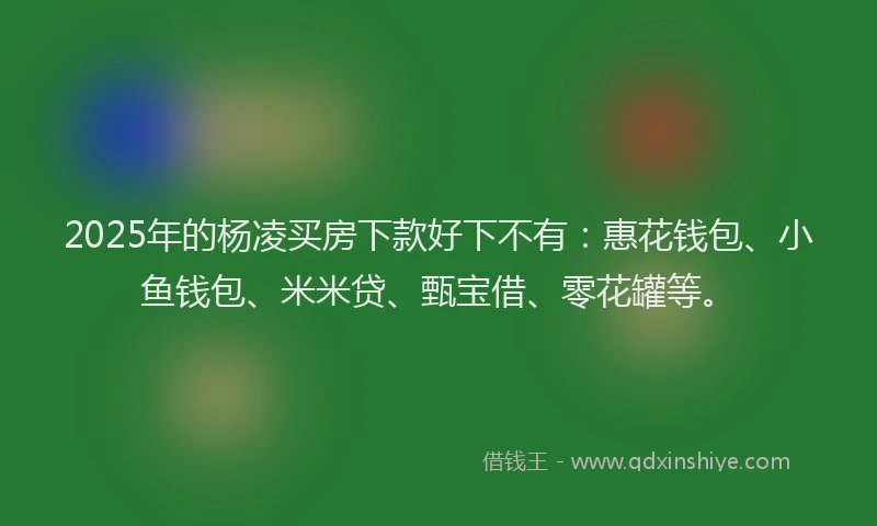 2025年的杨凌买房下款好下不有：惠花钱包、小鱼钱包、米米贷、甄宝借、零花罐等。