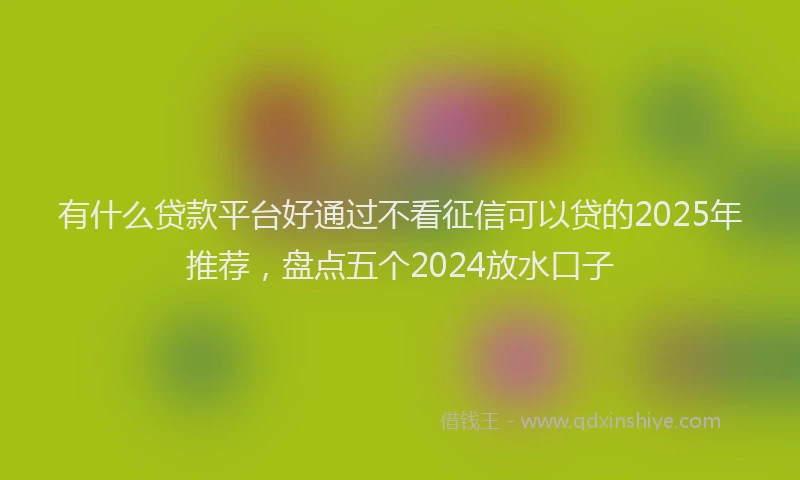 有什么贷款平台好通过不看征信可以贷的2025年推荐，盘点五个2024放水口子