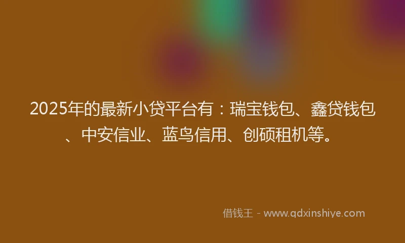 2025年的最新小贷平台有：瑞宝钱包、鑫贷钱包、中安信业、蓝鸟信用、创硕租机等。