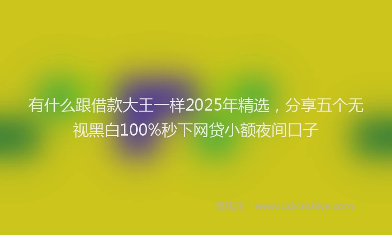 有什么跟借款大王一样2025年精选，分享五个无视黑白100%秒下网贷小额夜间口子