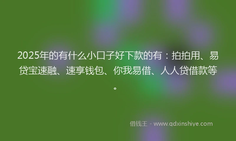 2025年的有什么小口子好下款的有：拍拍用、易贷宝速融、速享钱包、你我易借、人人贷借款等。