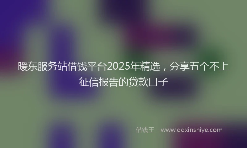 暖东服务站借钱平台2025年精选，分享五个不上征信报告的贷款口子