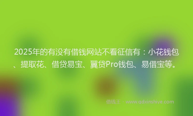 2025年的有没有借钱网站不看征信有：小花钱包、提取花、借贷易宝、翼贷Pro钱包、易借宝等。