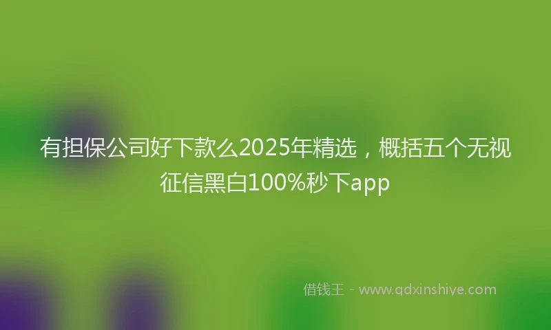 有担保公司好下款么2025年精选，概括五个无视征信黑白100%秒下app