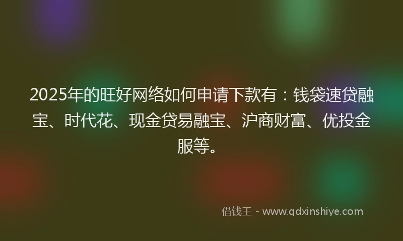 2025年的旺好网络如何申请下款有：钱袋速贷融宝、时代花、现金贷易融宝、沪商财富、优投金服等。