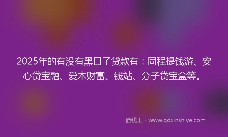 2025年的有没有黑口子贷款有：同程提钱游、安心贷宝融、爱木财富、钱站、分子贷宝盒等。