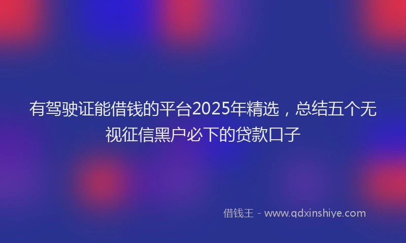 有驾驶证能借钱的平台2025年精选，总结五个无视征信黑户必下的贷款口子