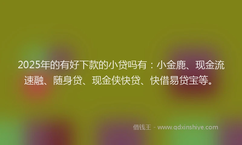2025年的有好下款的小贷吗有：小金鹿、现金流速融、随身贷、现金侠快贷、快借易贷宝等。