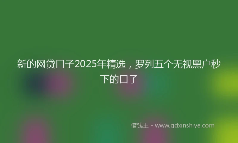 新的网贷口子2025年精选，罗列五个无视黑户秒下的口子