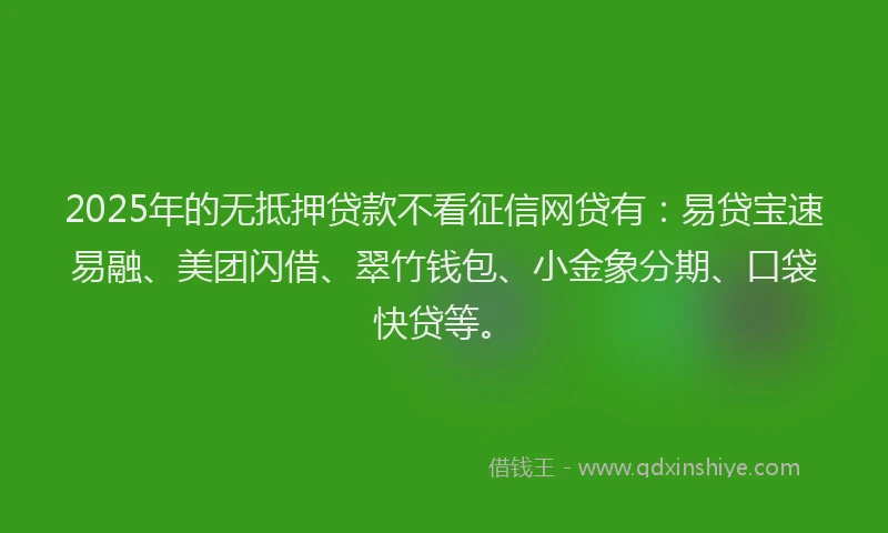 2025年的无抵押贷款不看征信网贷有：易贷宝速易融、美团闪借、翠竹钱包、小金象分期、口袋快贷等。
