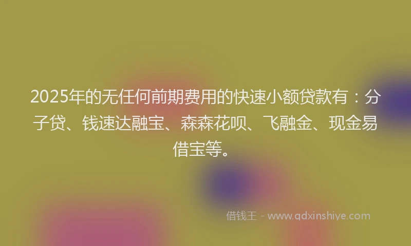 2025年的无任何前期费用的快速小额贷款有：分子贷、钱速达融宝、森森花呗、飞融金、现金易借宝等。