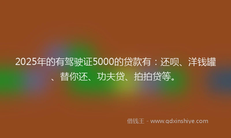 2025年的有驾驶证5000的贷款有：还呗、洋钱罐、替你还、功夫贷、拍拍贷等。