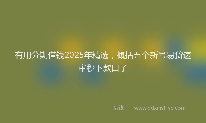有用分期借钱2025年精选，概括五个新号易贷速审秒下款口子