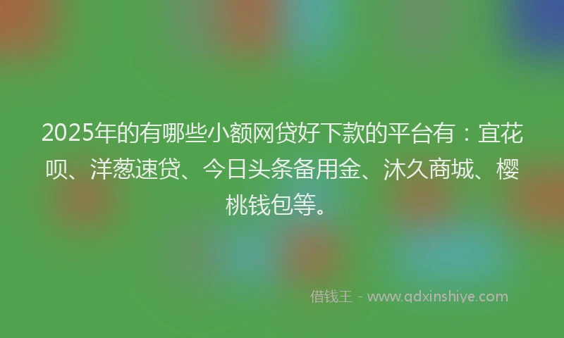 2025年的有哪些小额网贷好下款的平台有：宜花呗、洋葱速贷、今日头条备用金、沐久商城、樱桃钱包等。
