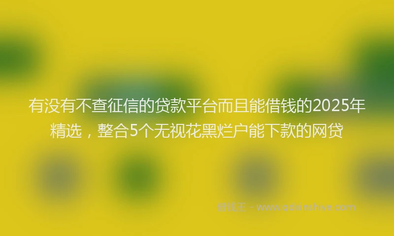 有没有不查征信的贷款平台而且能借钱的2025年精选，整合5个无视花黑烂户能下款的网贷