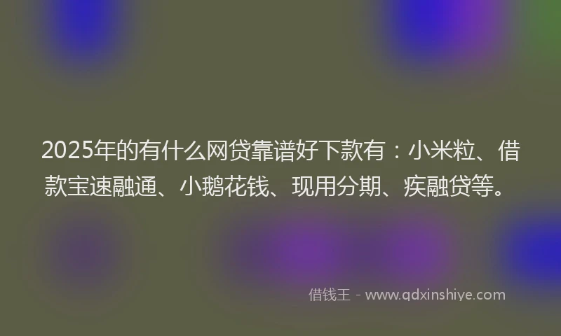 2025年的有什么网贷靠谱好下款有：小米粒、借款宝速融通、小鹅花钱、现用分期、疾融贷等。