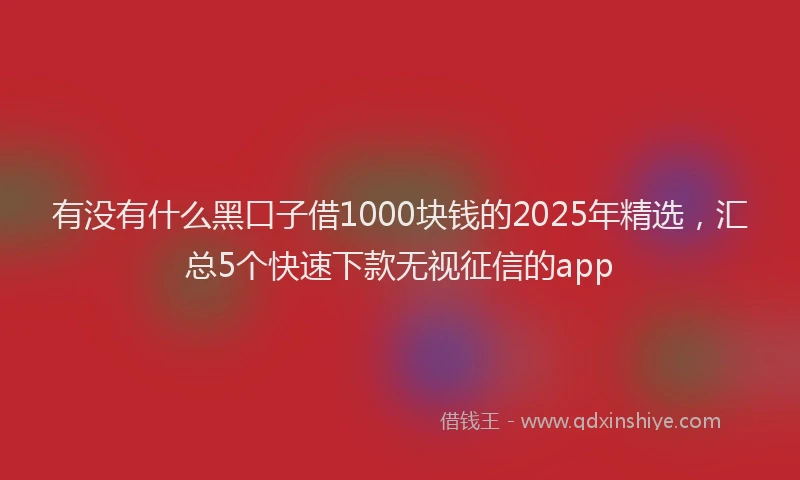 有没有什么黑口子借1000块钱的2025年精选，汇总5个快速下款无视征信的app