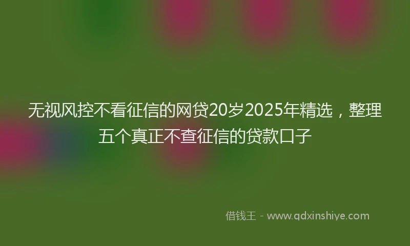 无视风控不看征信的网贷20岁2025年精选，整理五个真正不查征信的贷款口子