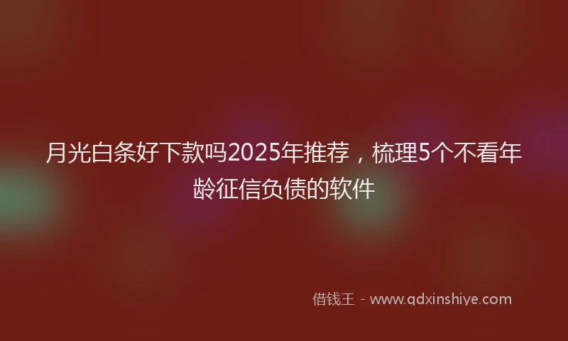 月光白条好下款吗2025年推荐，梳理5个不看年龄征信负债的软件
