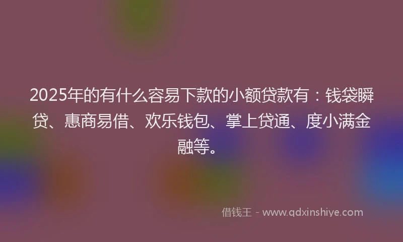 2025年的有什么容易下款的小额贷款有：钱袋瞬贷、惠商易借、欢乐钱包、掌上贷通、度小满金融等。