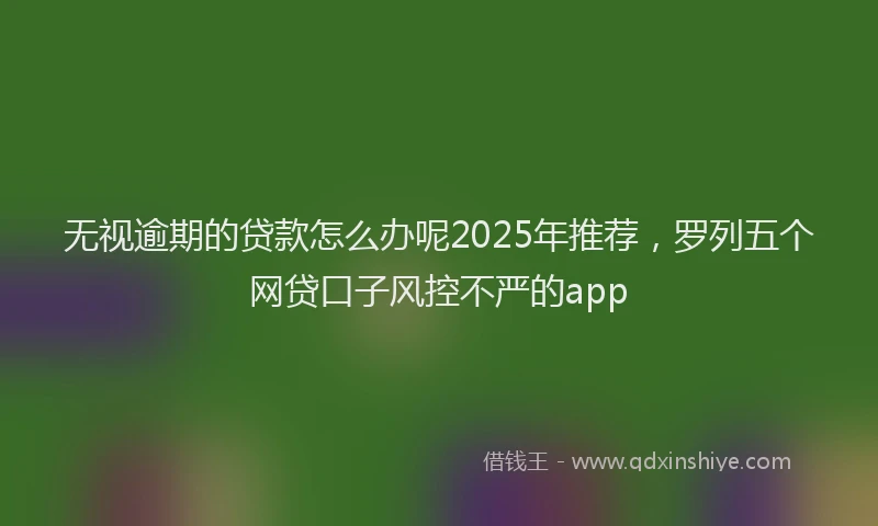 无视逾期的贷款怎么办呢2025年推荐，罗列五个网贷口子风控不严的app