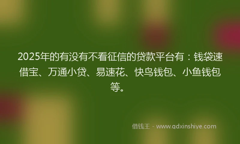 2025年的有没有不看征信的贷款平台有：钱袋速借宝、万通小贷、易速花、快鸟钱包、小鱼钱包等。