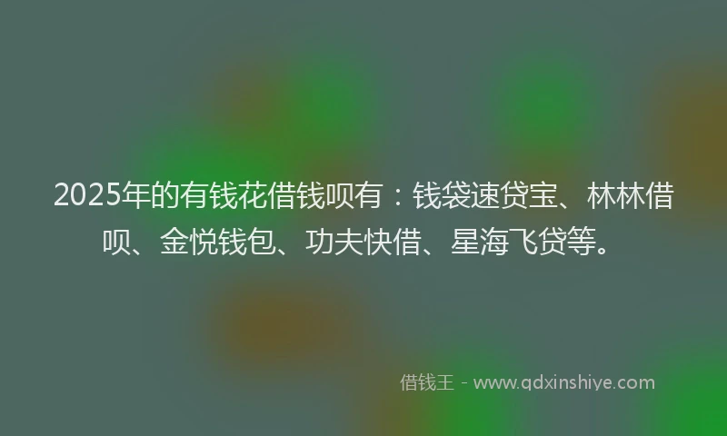 2025年的有钱花借钱呗有：钱袋速贷宝、林林借呗、金悦钱包、功夫快借、星海飞贷等。