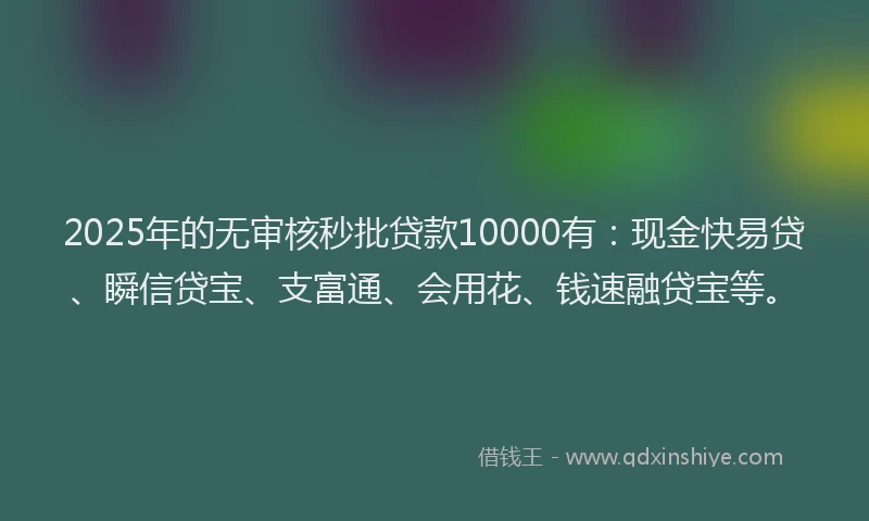 2025年的无审核秒批贷款10000有：现金快易贷、瞬信贷宝、支富通、会用花、钱速融贷宝等。