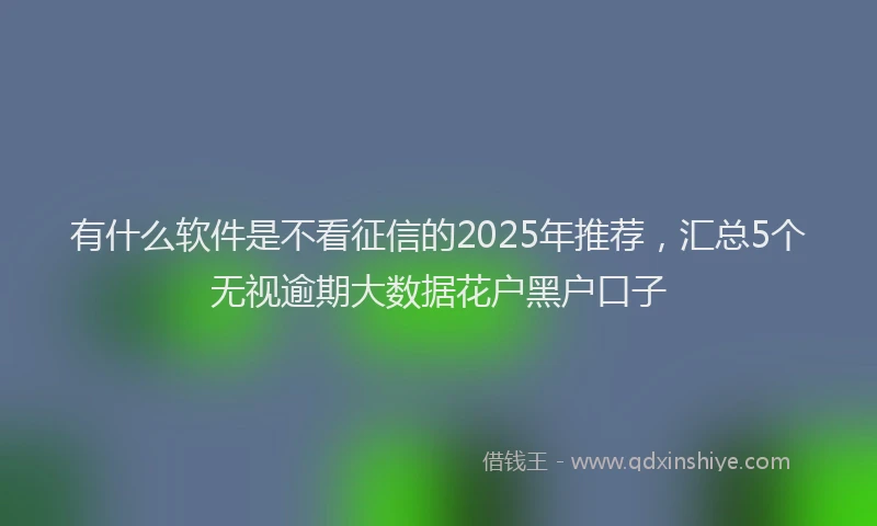 有什么软件是不看征信的2025年推荐，汇总5个无视逾期大数据花户黑户口子