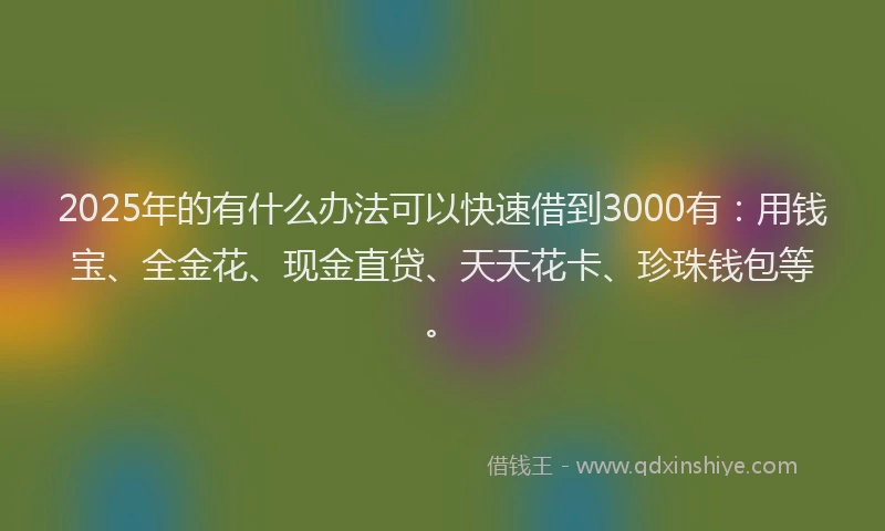 2025年的有什么办法可以快速借到3000有：用钱宝、全金花、现金直贷、天天花卡、珍珠钱包等。