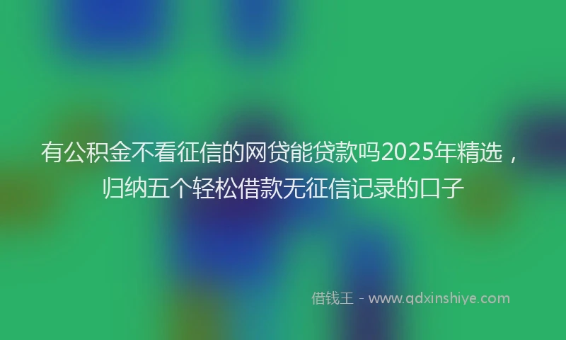 有公积金不看征信的网贷能贷款吗2025年精选，归纳五个轻松借款无征信记录的口子