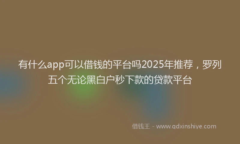 有什么app可以借钱的平台吗2025年推荐，罗列五个无论黑白户秒下款的贷款平台