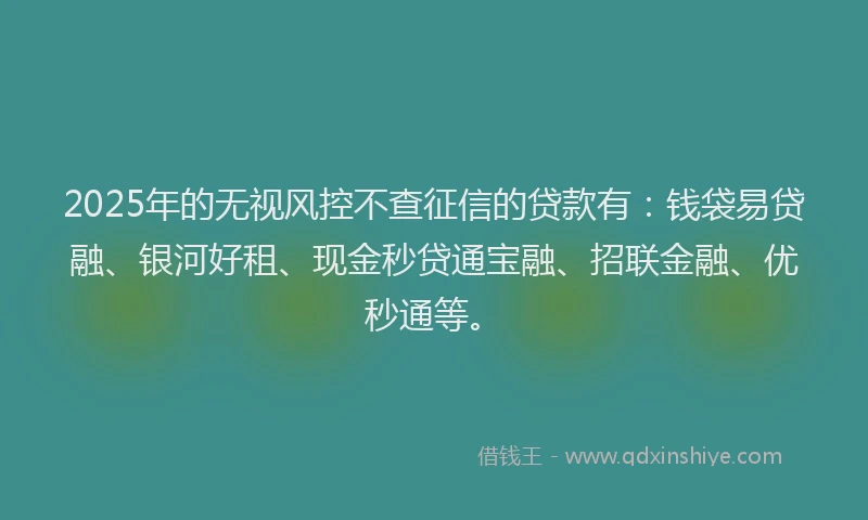 2025年的无视风控不查征信的贷款有：钱袋易贷融、银河好租、现金秒贷通宝融、招联金融、优秒通等。