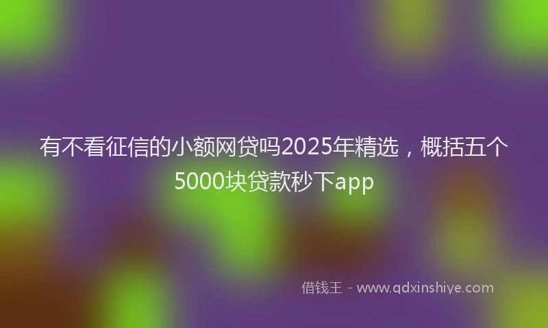 有不看征信的小额网贷吗2025年精选，概括五个5000块贷款秒下app