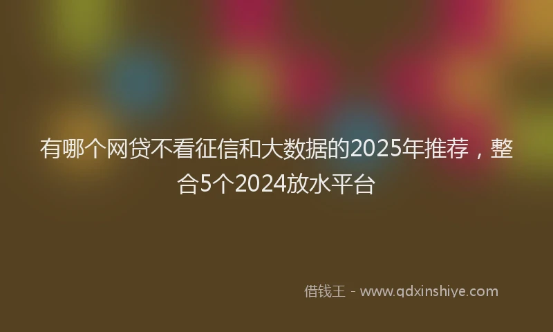 有哪个网贷不看征信和大数据的2025年推荐，整合5个2024放水平台